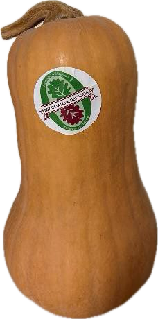 Bundeva bez ostataka pesticida